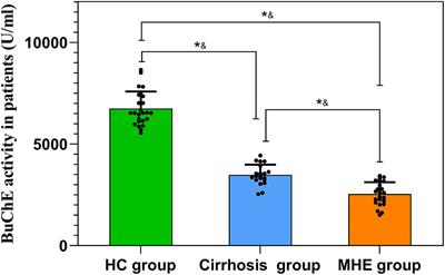 The role of butyrylcholinesterase in the regulation of cognitive dysfunction in minimal hepatic encephalopathy: A potential blood marker of disease evolution